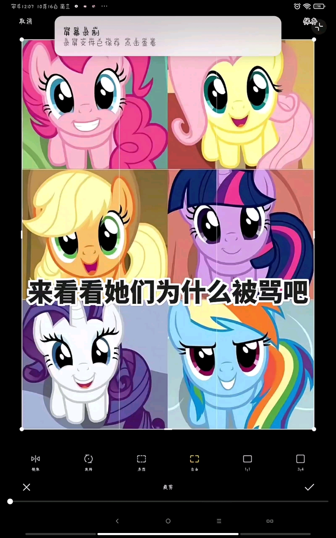 my little pony ar图片