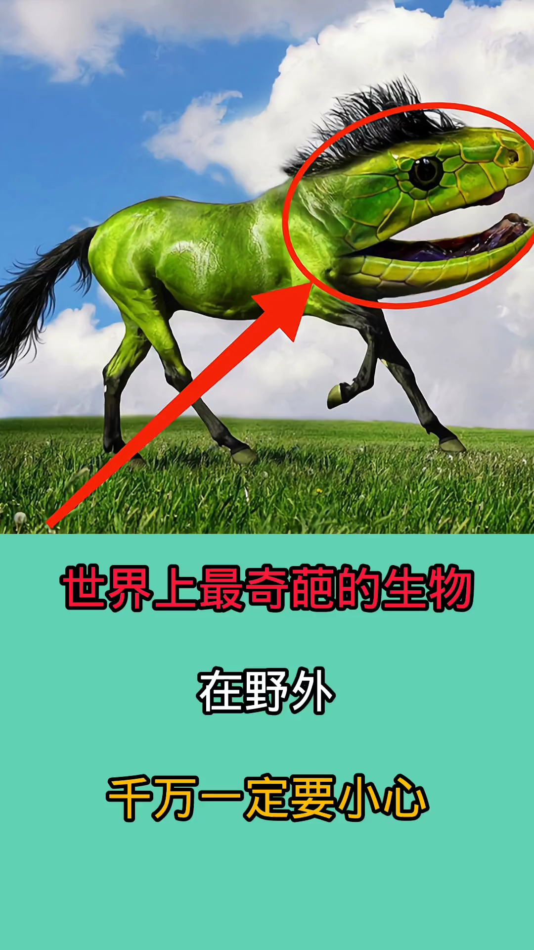 世界上最奇葩的十大恐怖生物!在野外一但遇到你肯定会被吓一跳!