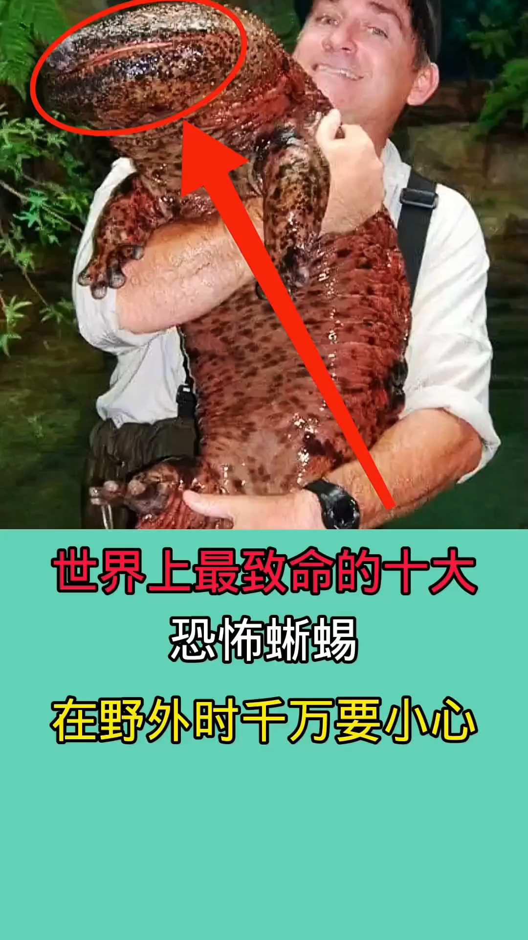 最可怕的五个生物