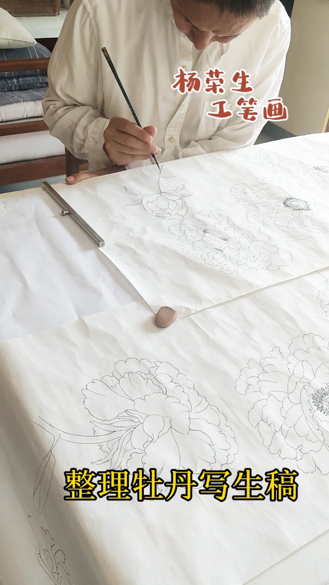 整理牡丹写生稿(杨荣生 工笔画)