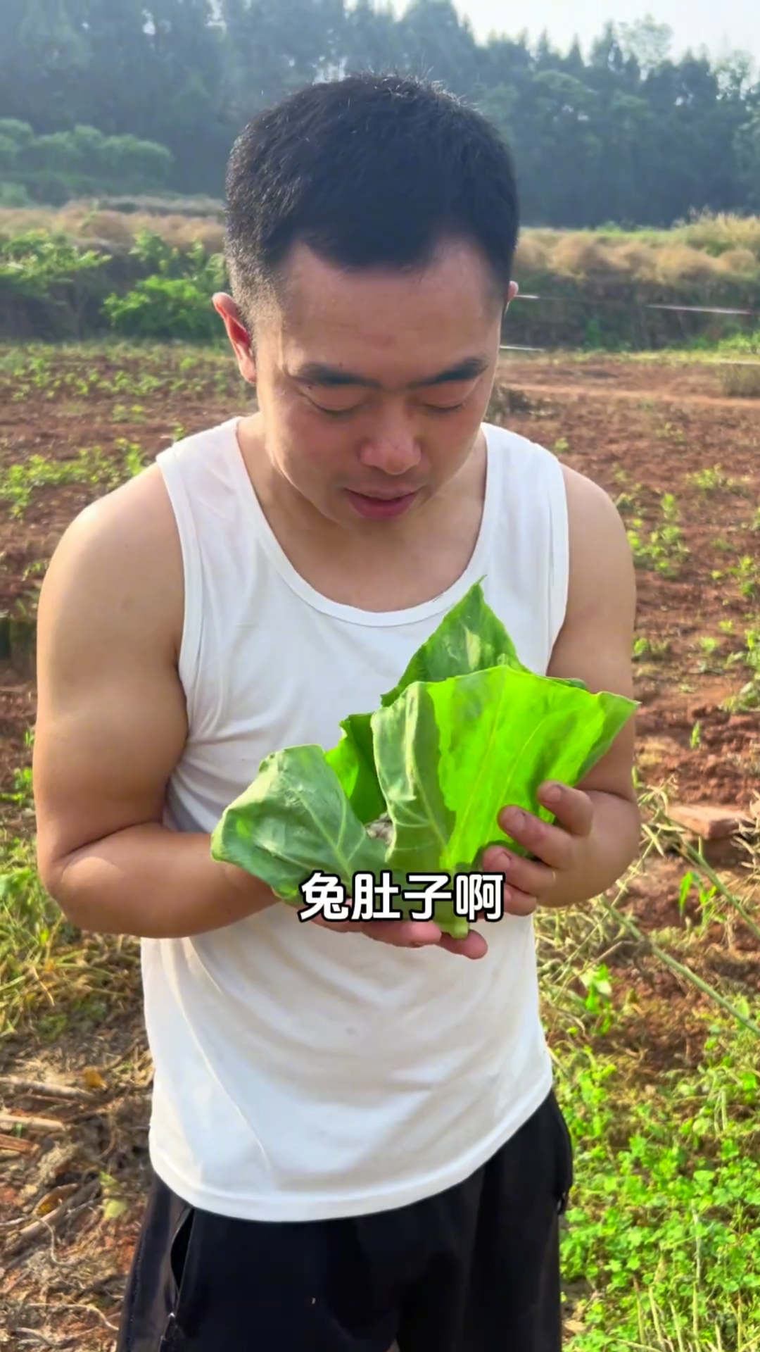 幺妹一天想瓜些名堂,干一些无事包经的事-度小视