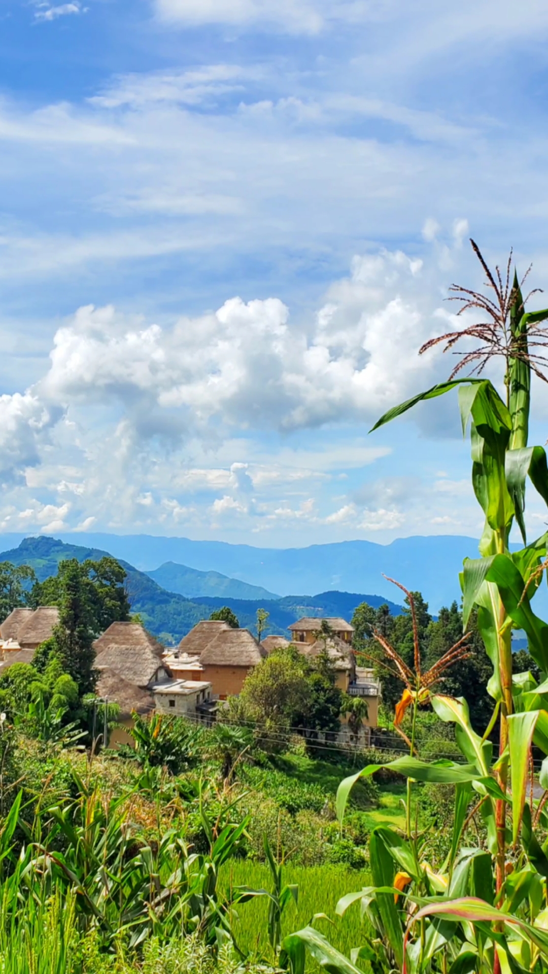 元阳哈尼梯田景区的古老村落