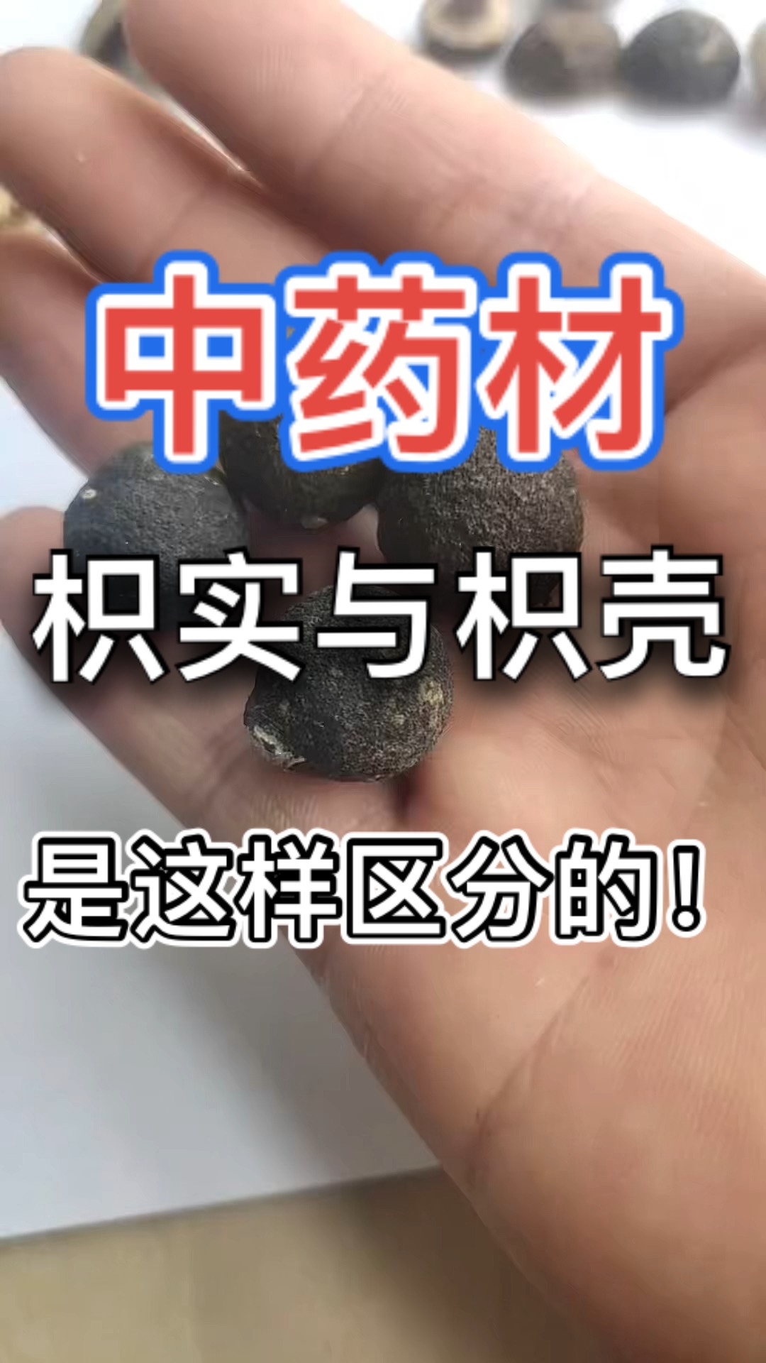 教你如何区分枳实与枳壳