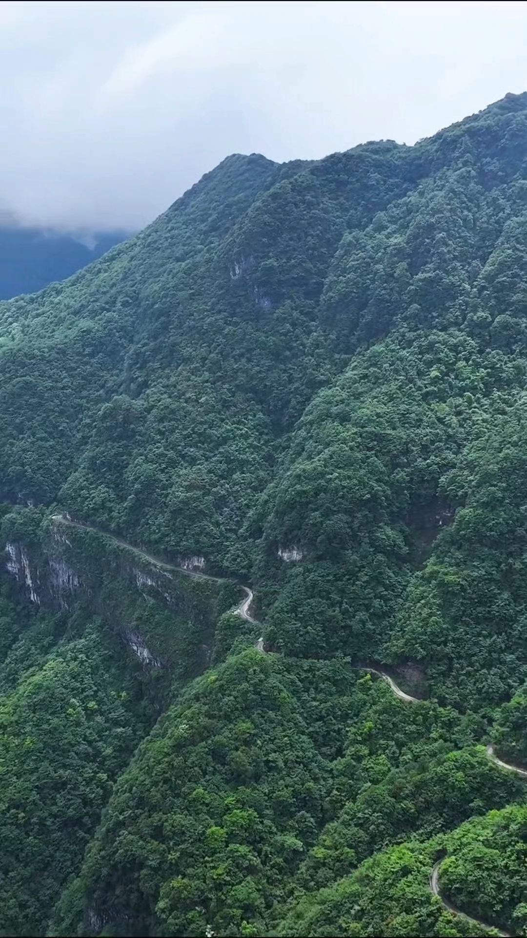 南川天山坪大峡谷简介图片