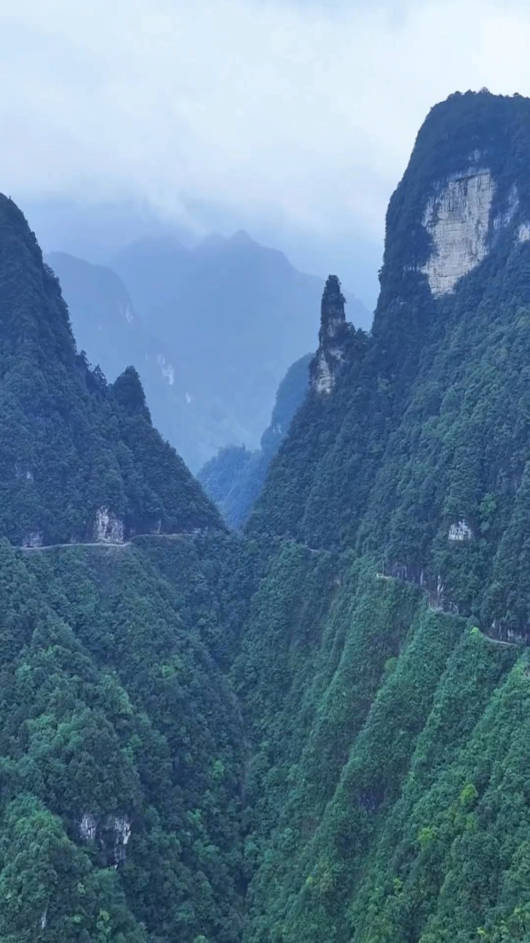 南川天山坪大峡谷简介图片