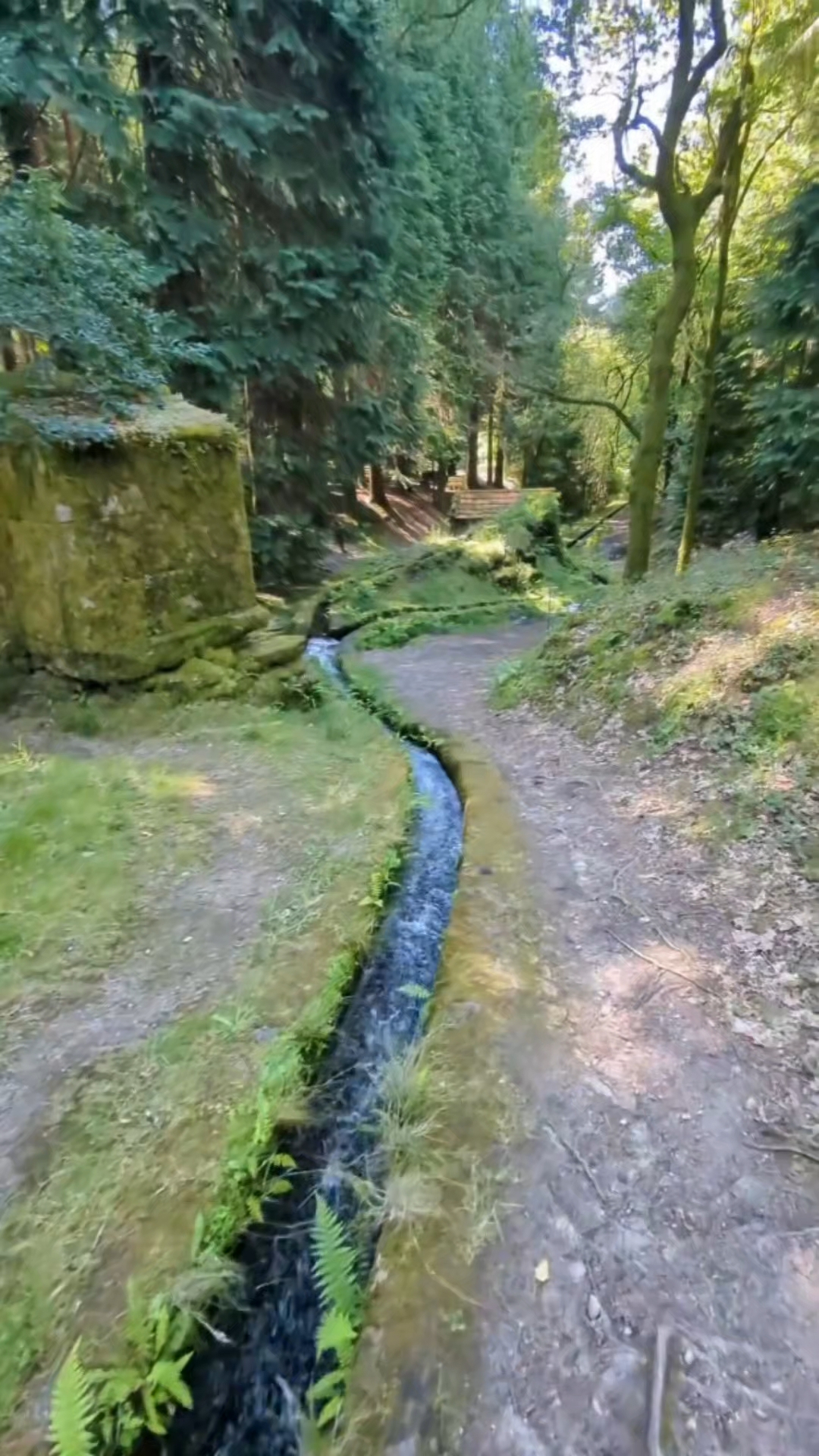林间小道,渠水清澈,真是个徒步的好地方