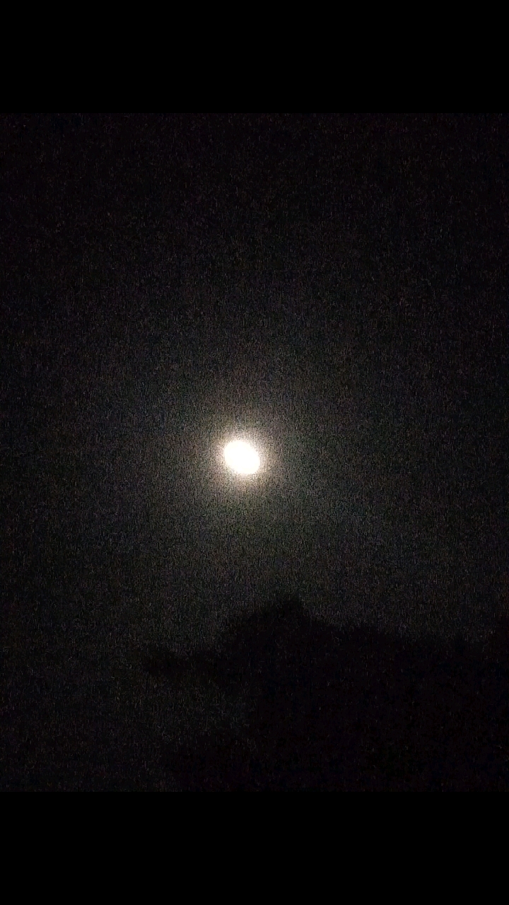 其实有星星,只不过天空太黑了