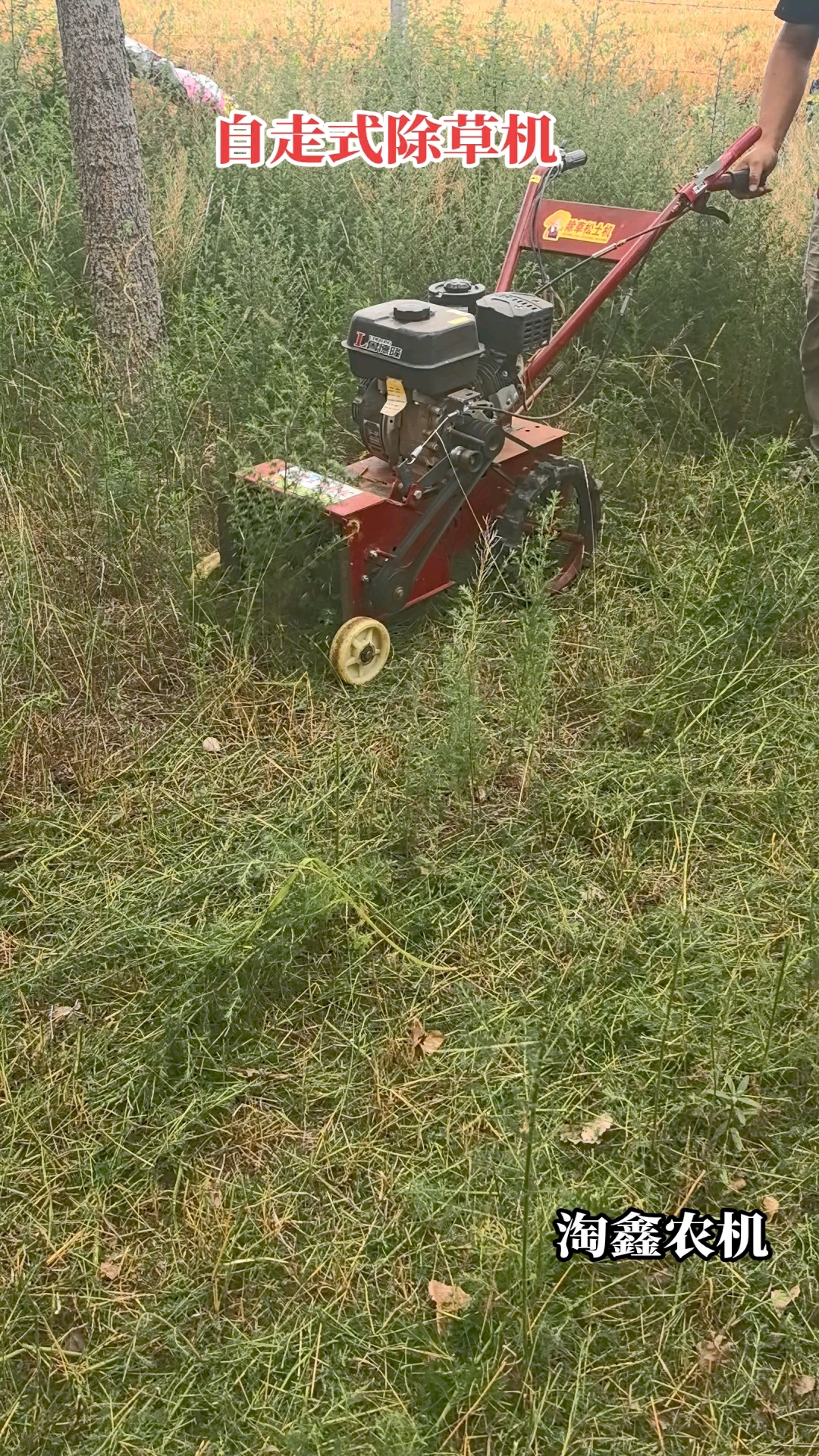 小型汽油除草机!