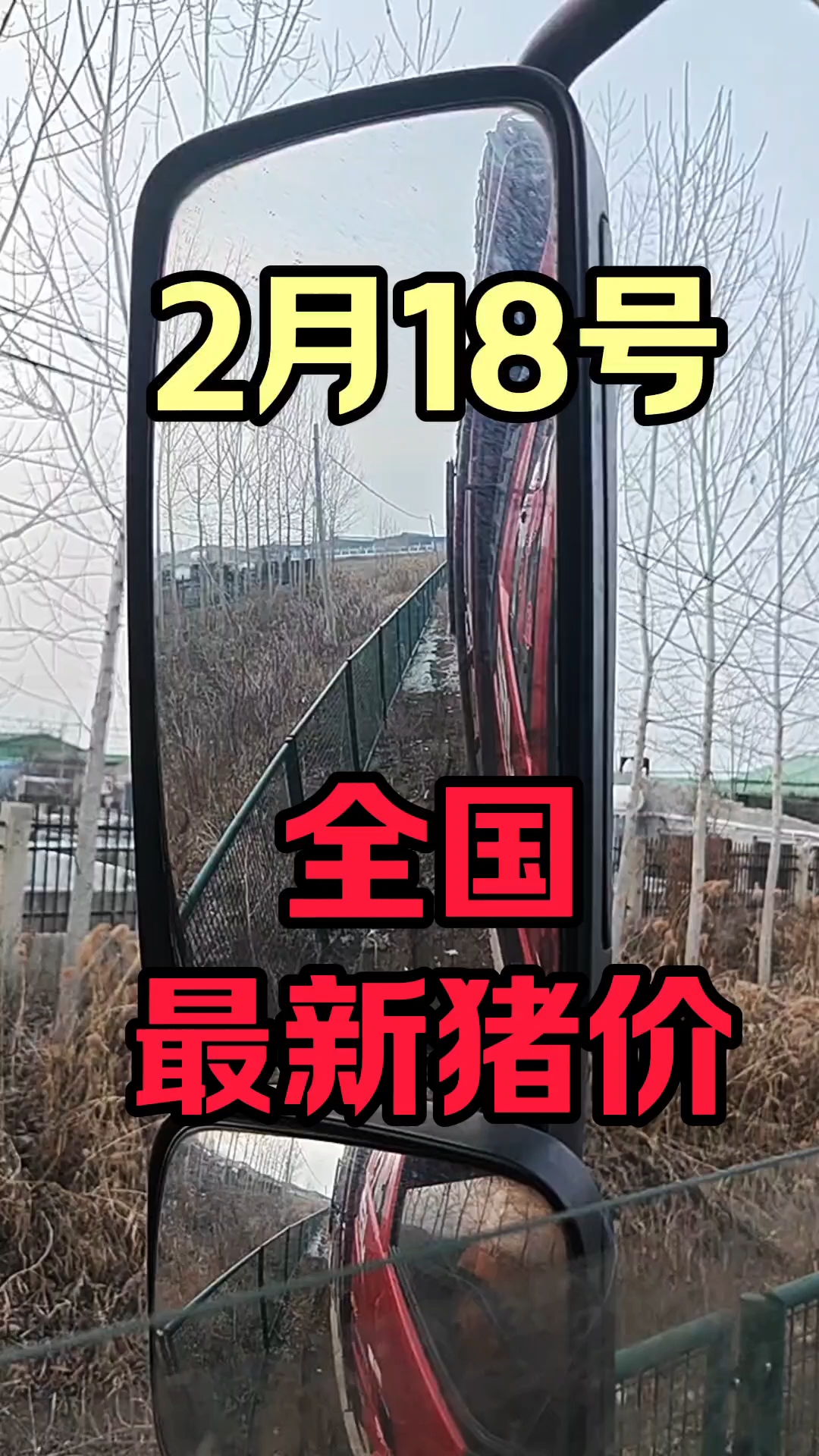 中国财经新闻每日财经报道生猪(财经新闻2021年每日财经报道)