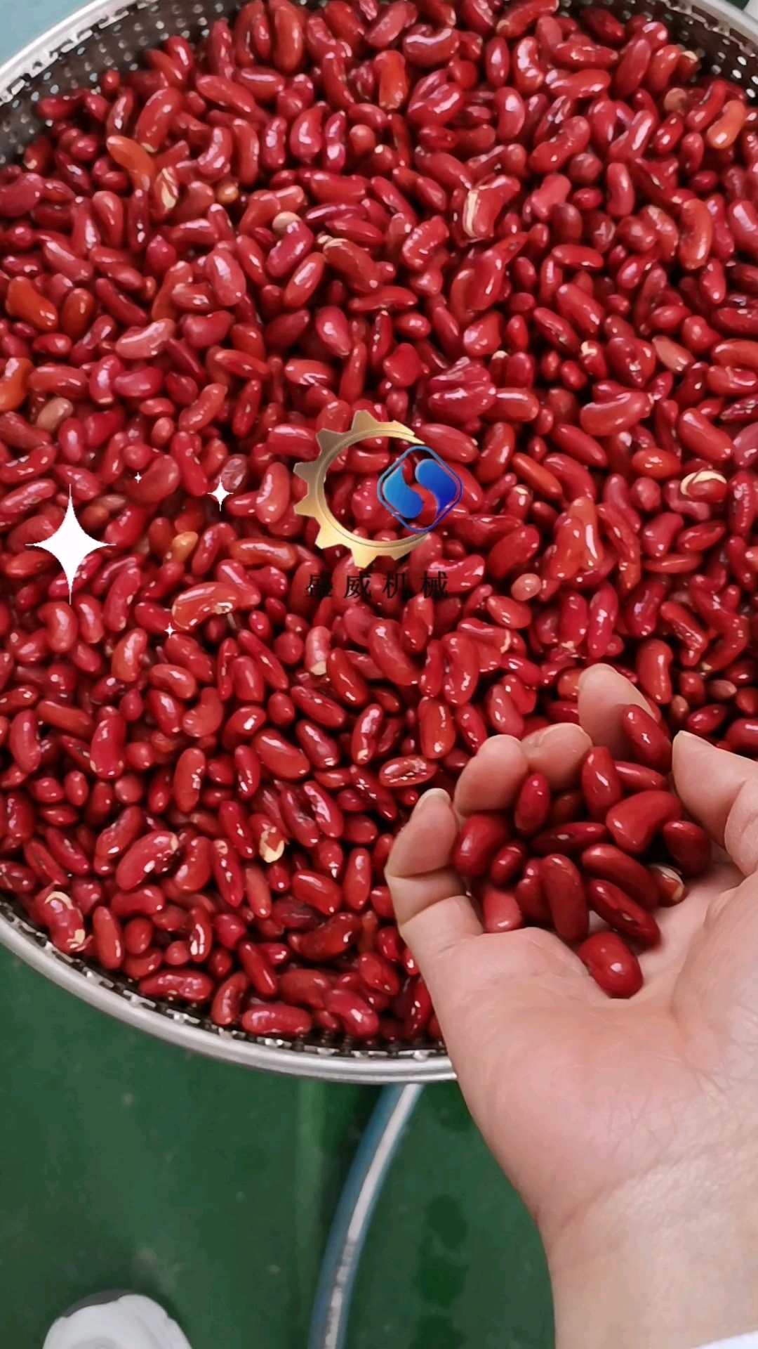 客户发的红芸豆试机过程,浸糖后颗粒完整口感软糯可口,浸糖均匀