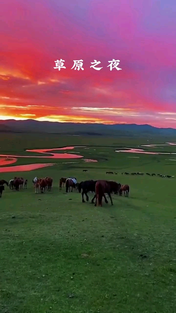 复音口琴吹奏《草原之夜》