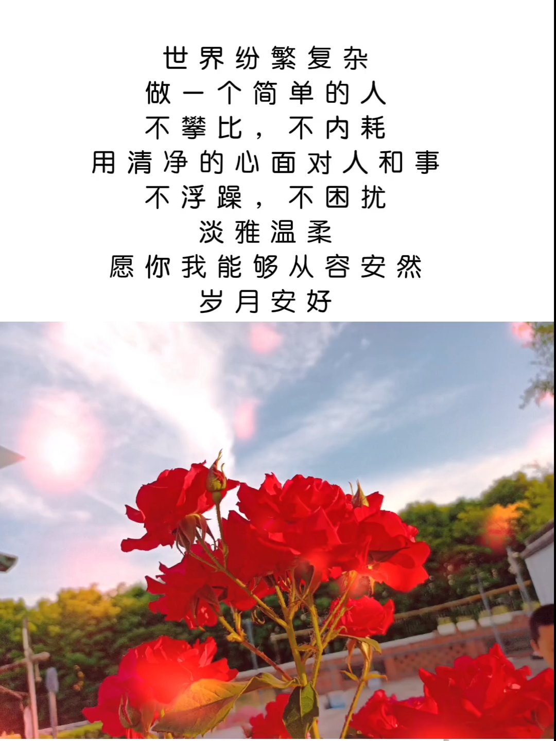 做一个简单的人,不攀比,不内耗,愿你我从容安然,岁月安好