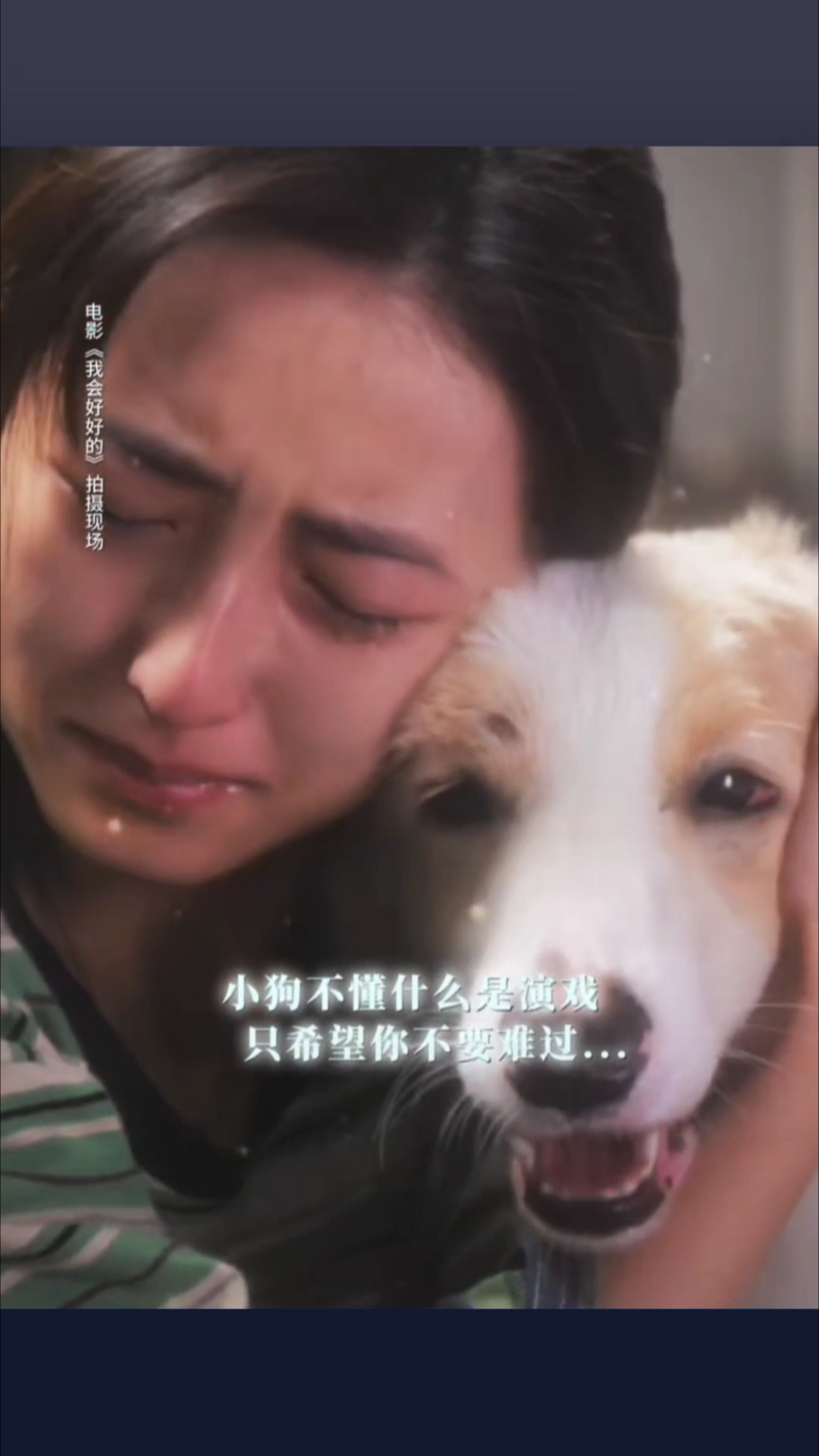 张子枫哭戏,狗狗共情窝心安慰!这一刹那,真的不像演的!