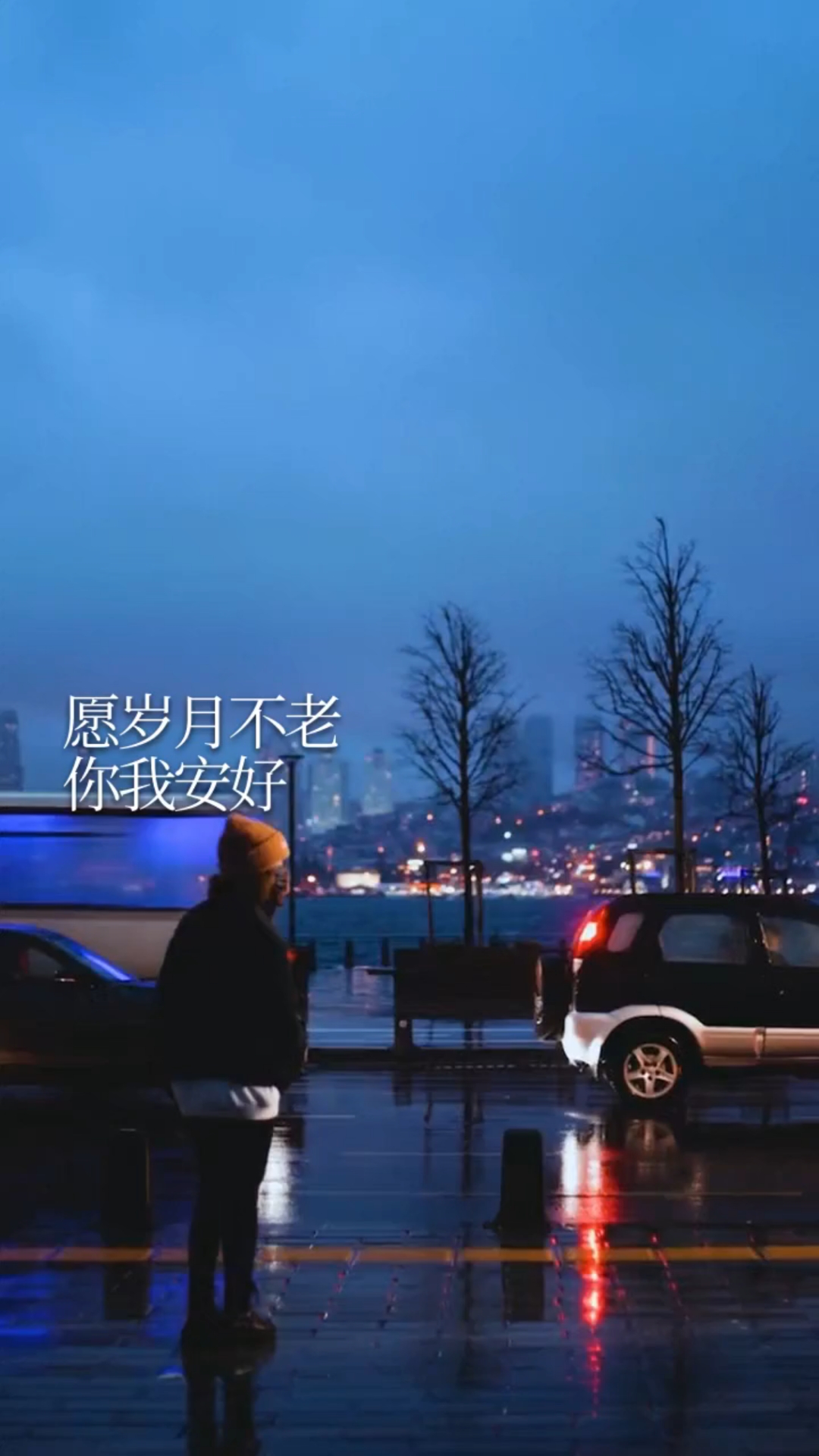 情感语录:愿岁月不老,你我安好