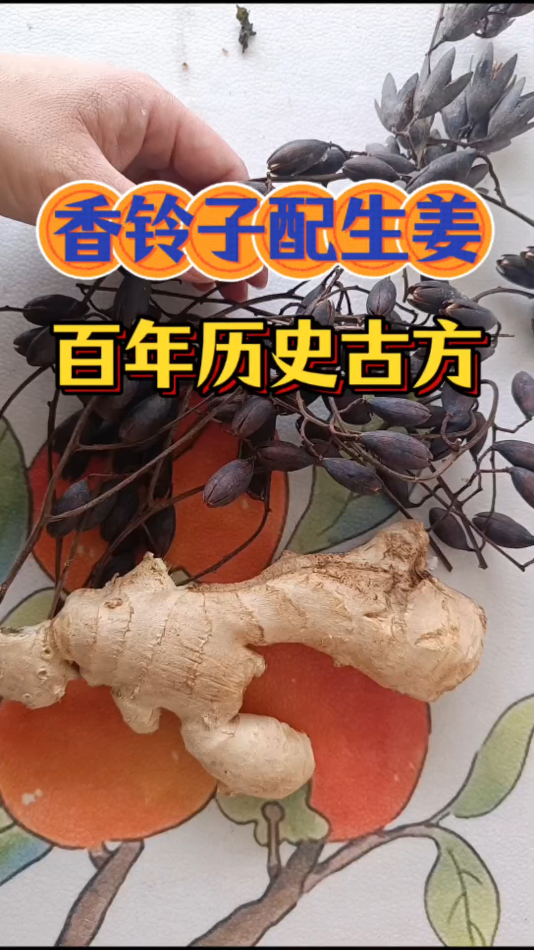 香椿铃配生姜,要多牛有多牛,流传百年古法