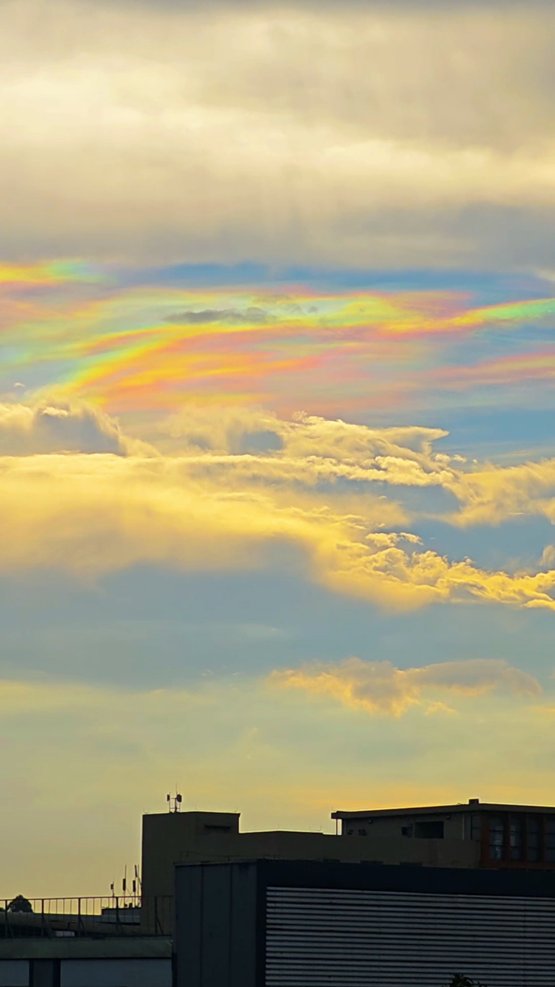 (6月12日 17点)刚刚,我拍到了雨后的七彩祥云 无比激动