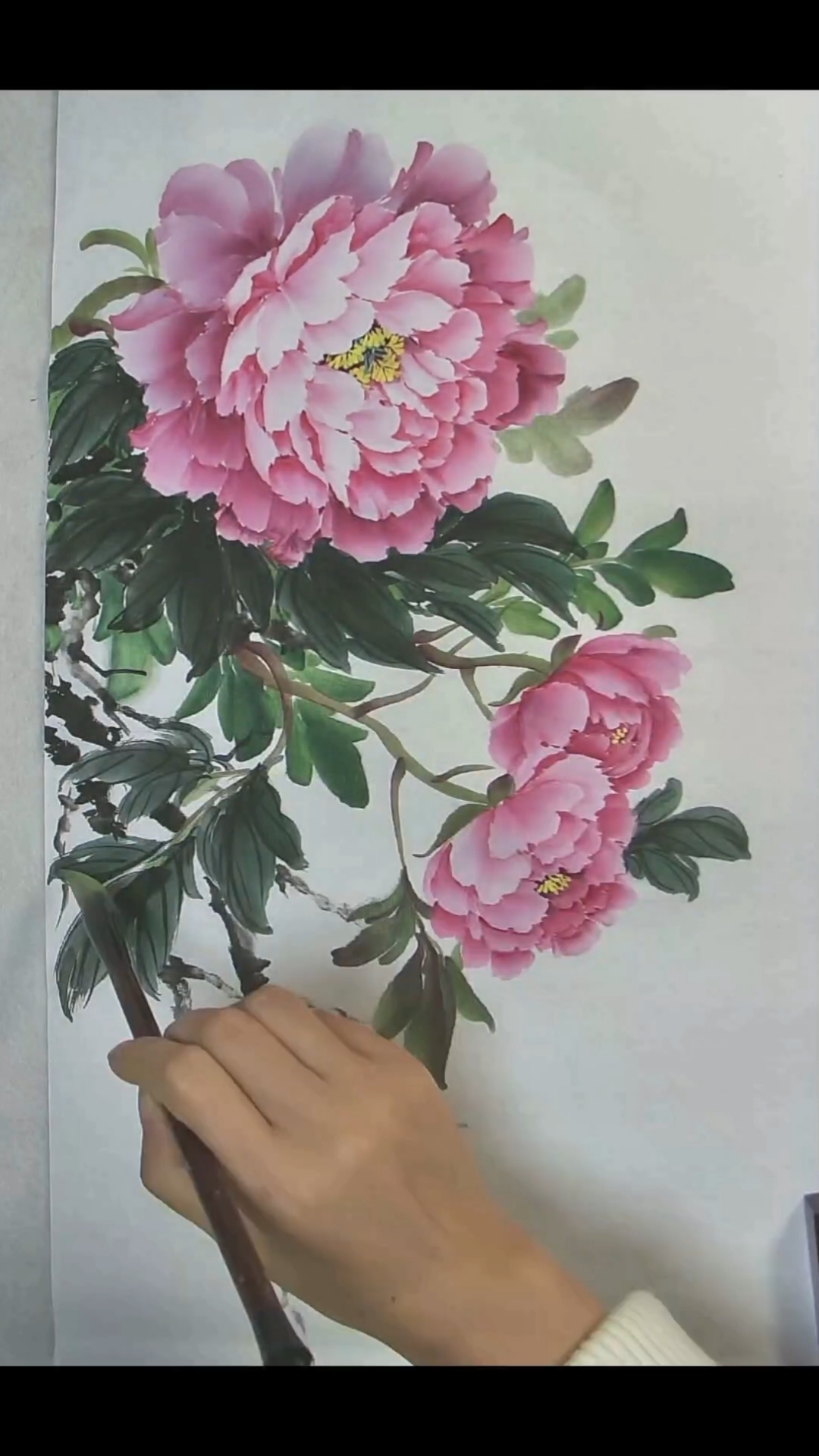 粉色牡丹的画法