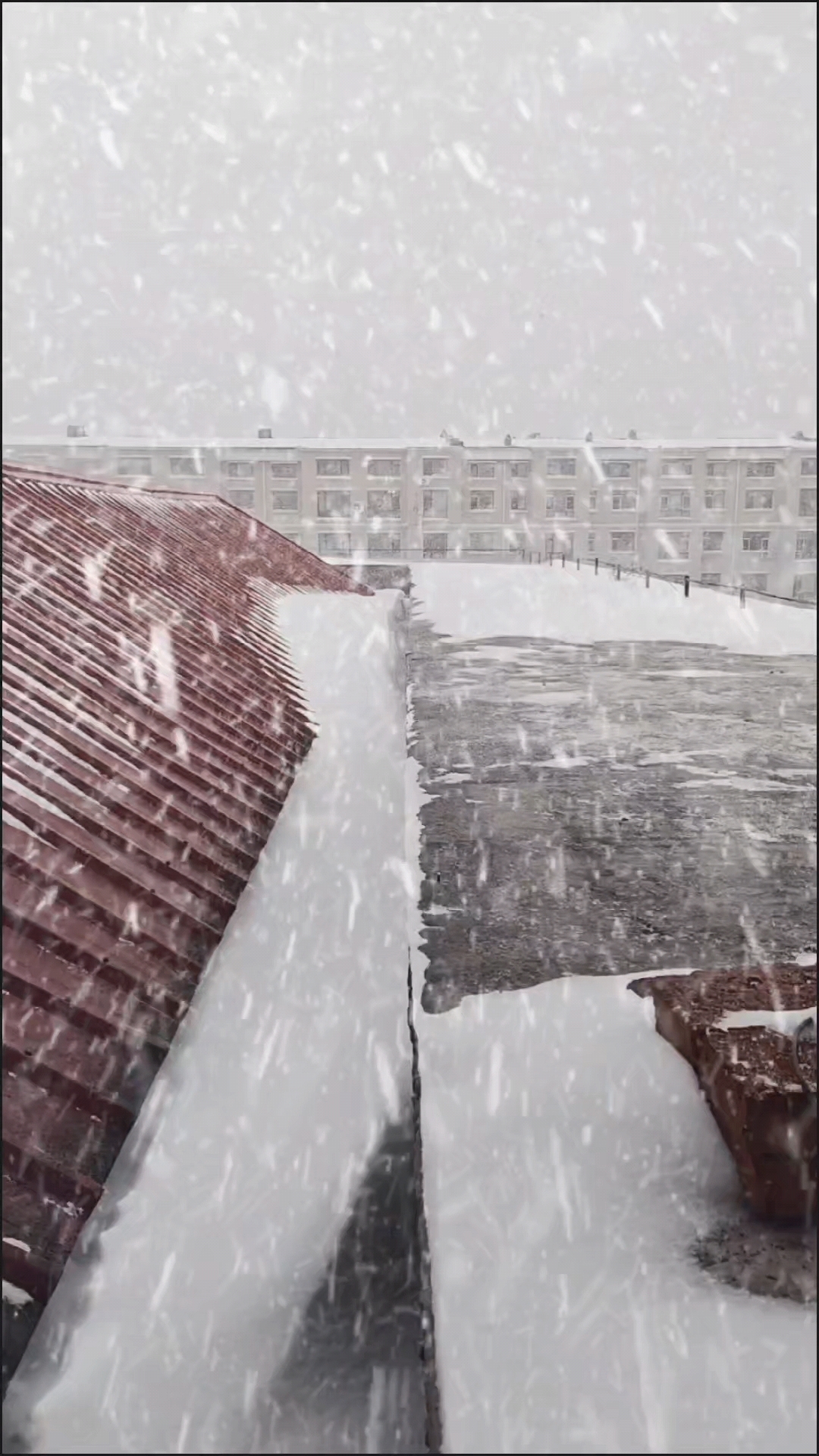 风雪交加的夜晚,寒风刺骨,白雪纷飞,仿佛整个世界都被冰冻