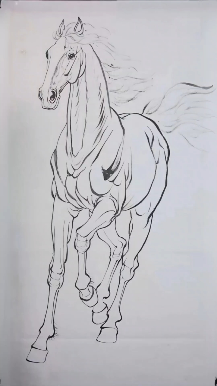 活力棕色马 骏马 治愈