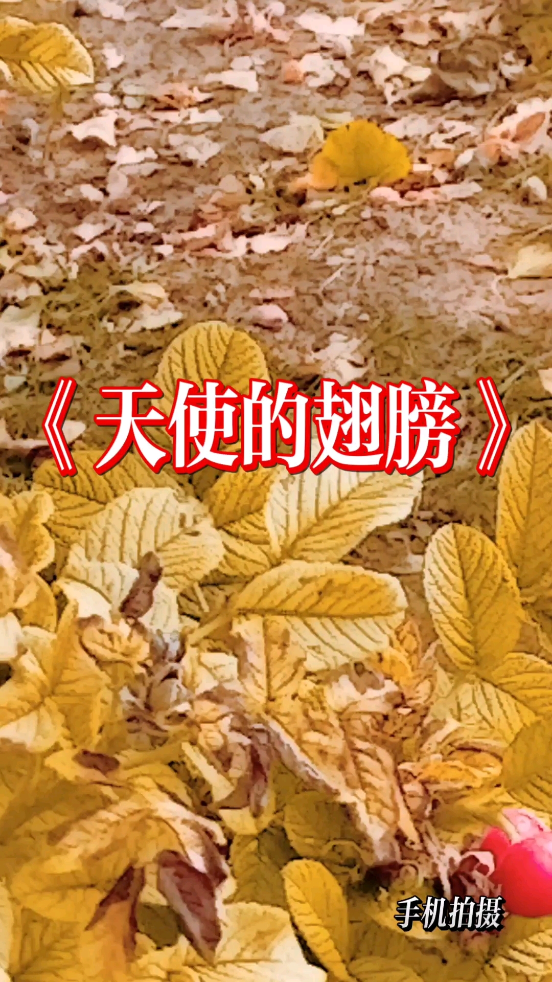天使的翅膀歌曲(天使的翅膀歌曲女生版)
