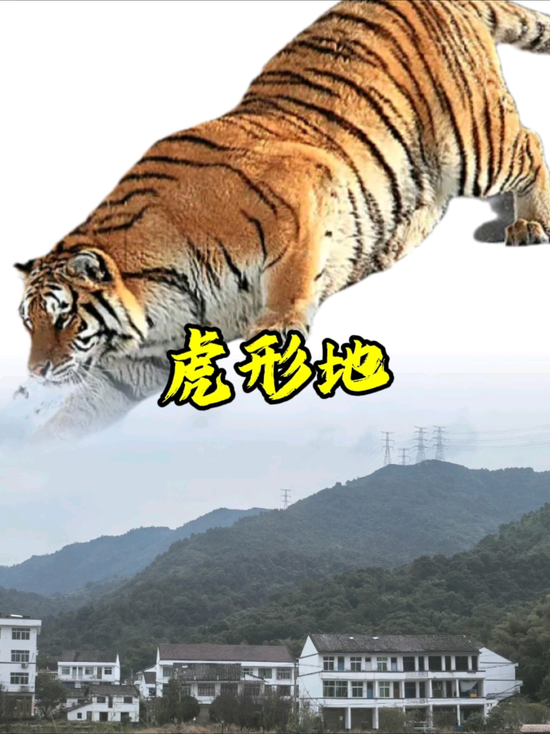 虎形宝地,福泽绵长,富贵吉祥,左右两侧有青龙白虎砂环抱之势