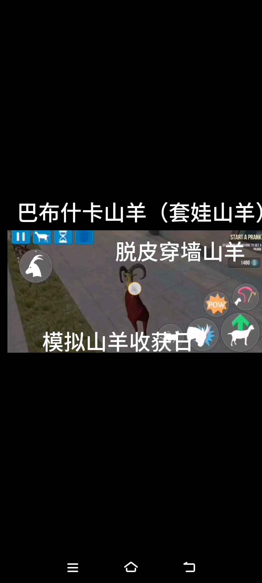 模拟山羊收获日的巴布什卡山羊,又叫俄罗斯套娃山羊.-度小视