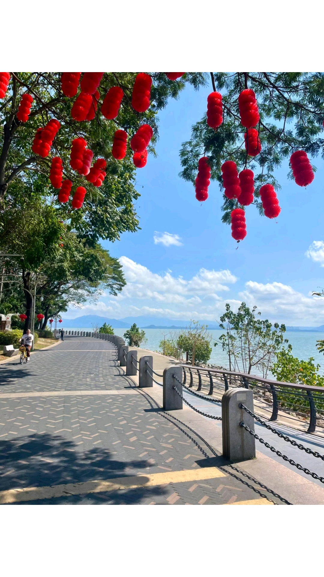深圳湾公园风景