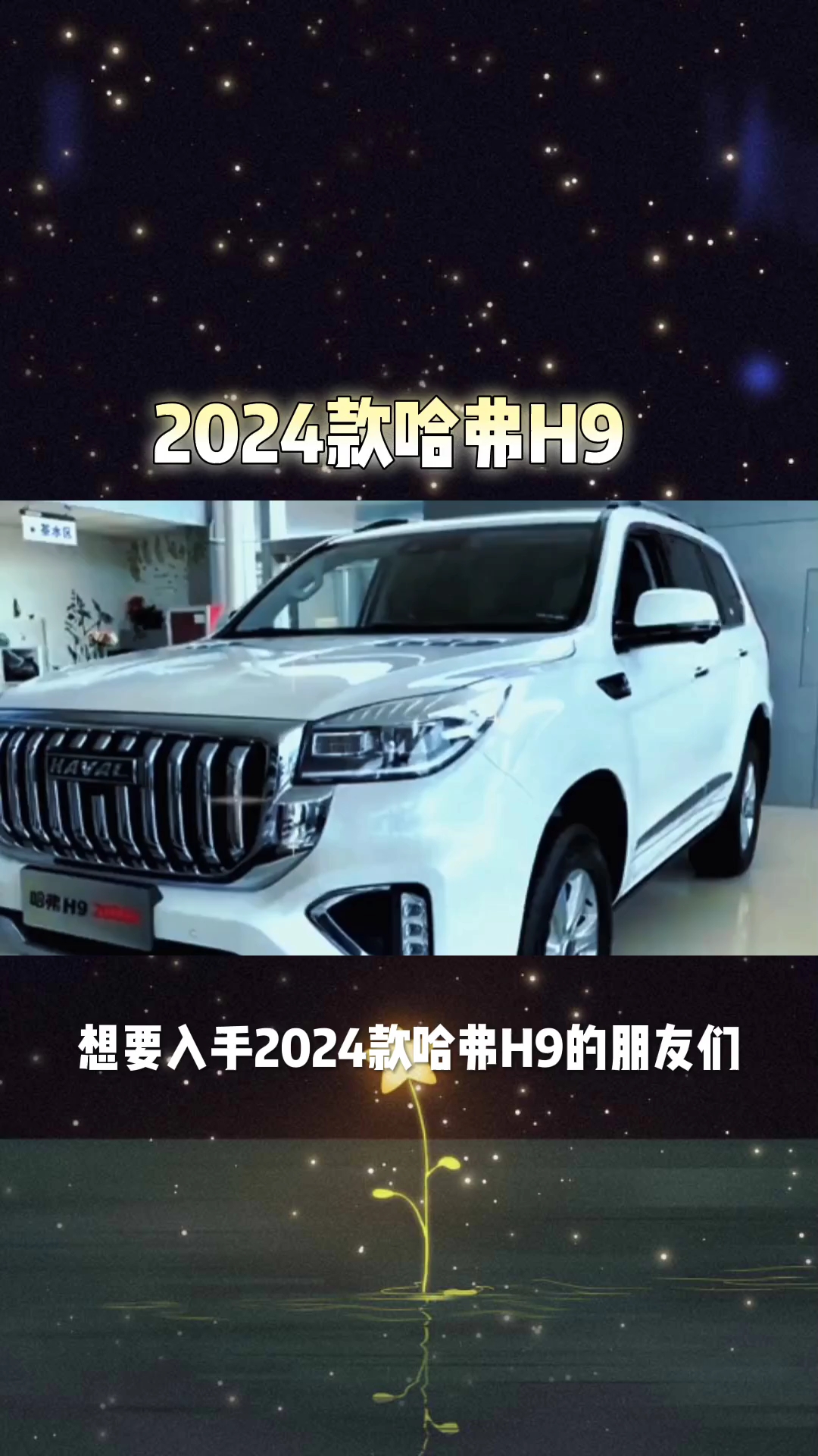 2024款哈弗h9车型配置介绍与落地价参考
