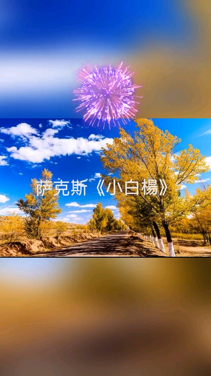 萨克斯《小白杨》小白杨长在哨所旁和我一起站岗