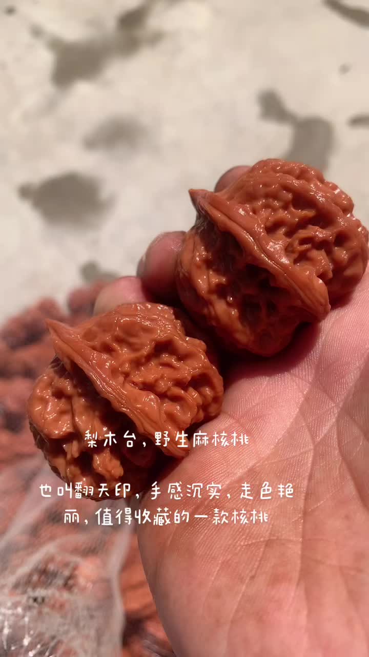 梨木台和翻天印狮子头图片