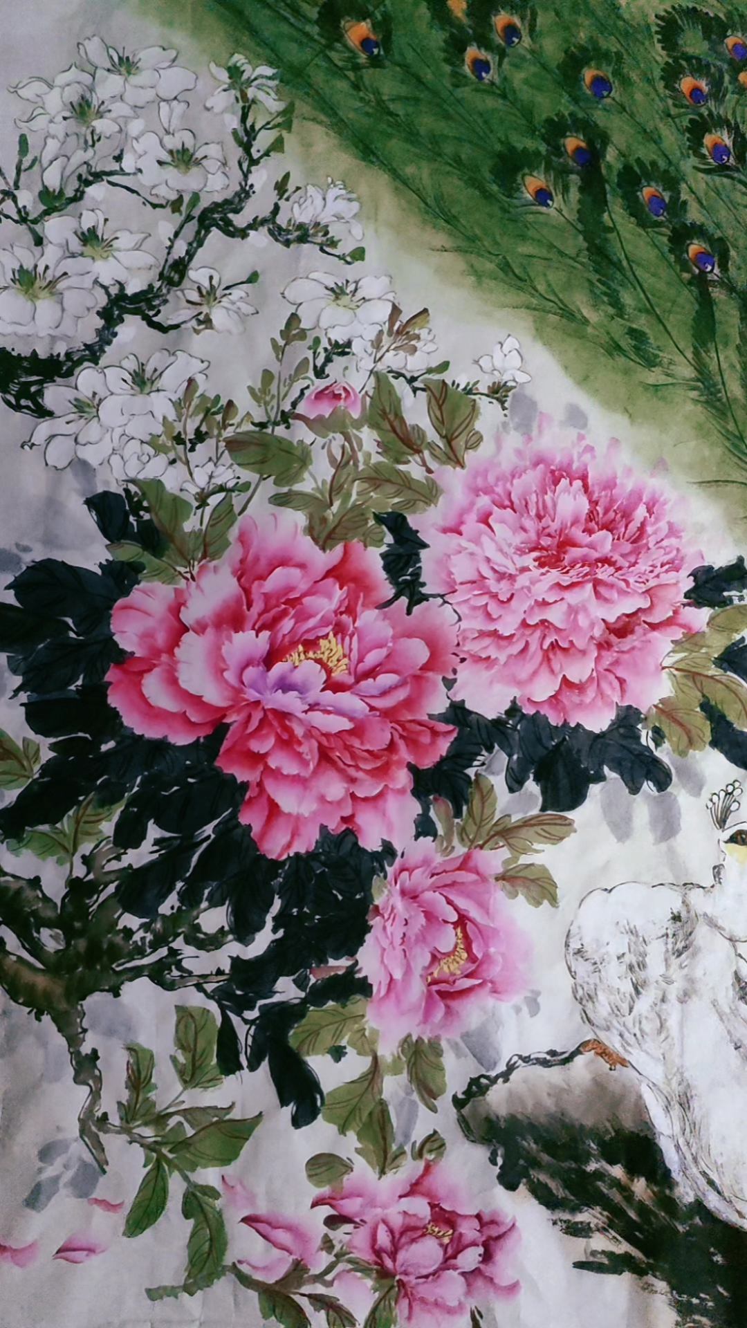 六尺孔雀牡丹图已完成!