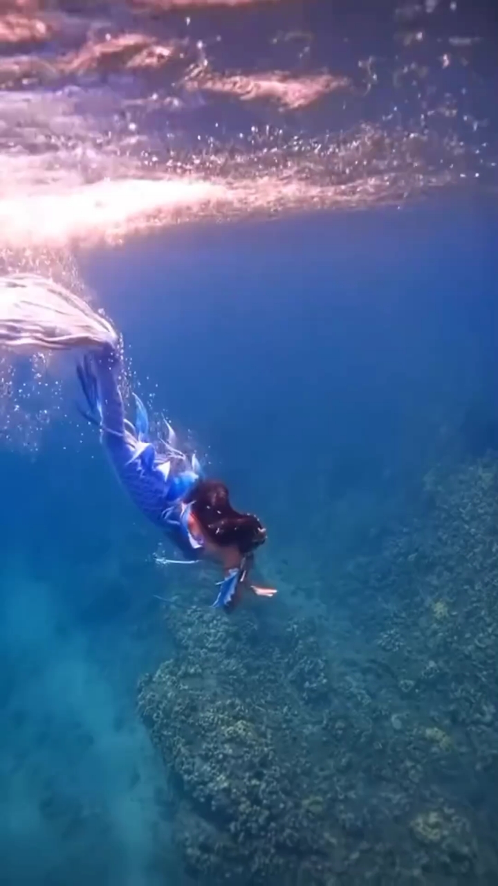 见过美人鱼在水下游泳吗