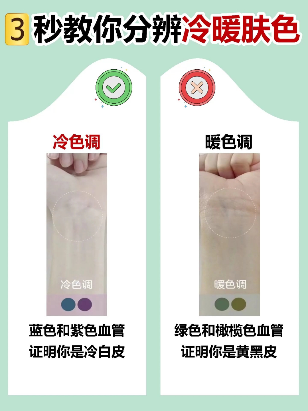 蓝色和紫色血管证明你是冷白皮,绿色和橄榄色血管证明你是黄黑皮
