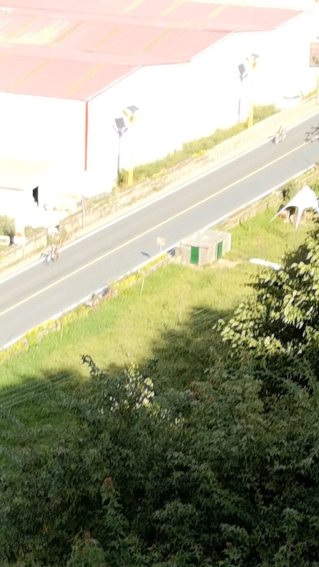 我们来到了松茸之乡雅江县松茸村