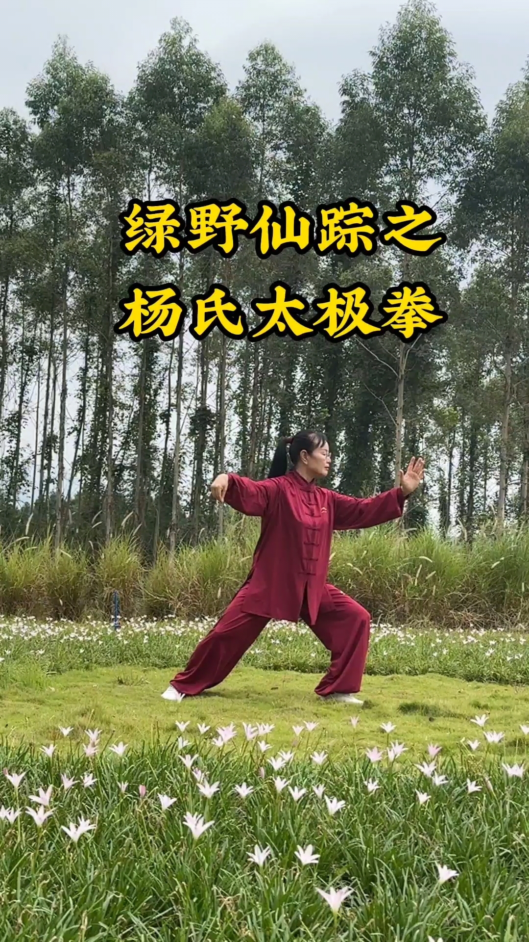 在家乡的绿野练习杨氏太极拳