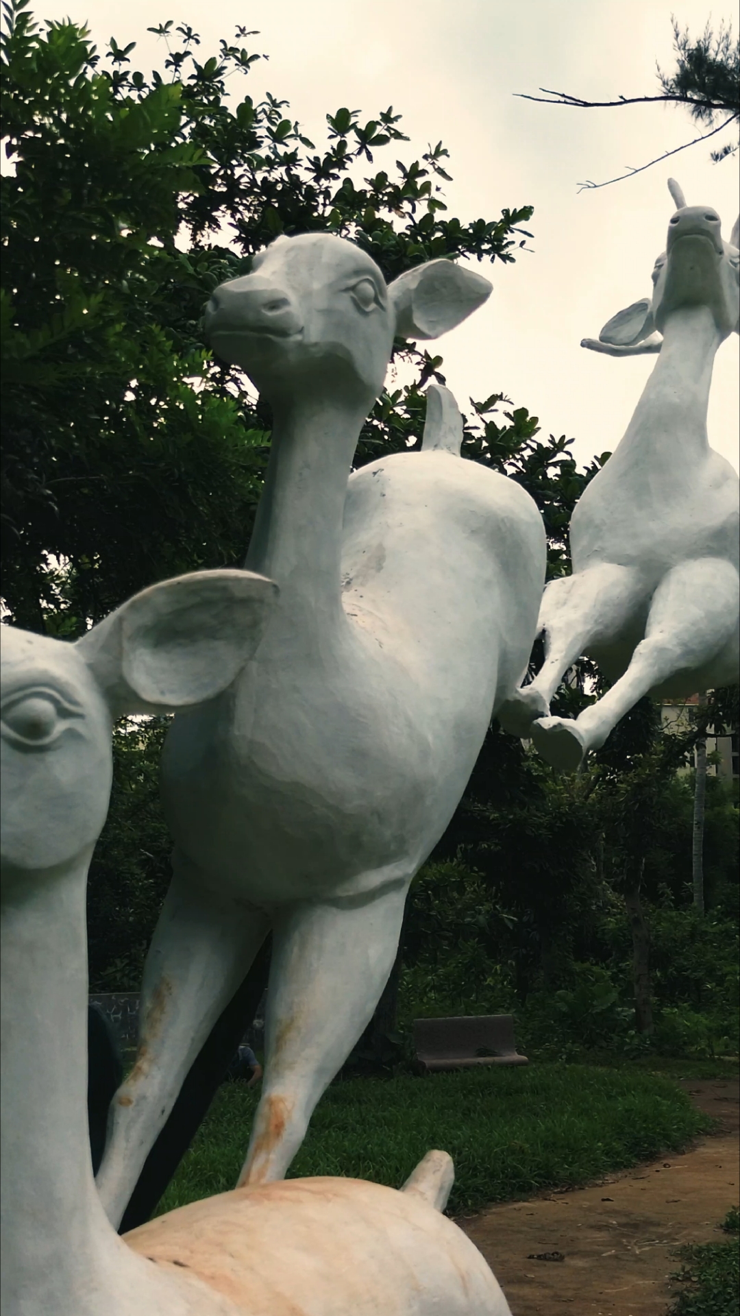 海口废弃多年的金牛岭动物园,多少人的童年印象已消失!