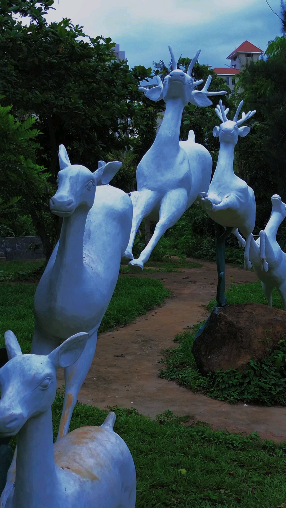 海口金牛岭动物园,留下了多少人的童年记忆,如今已废弃多年