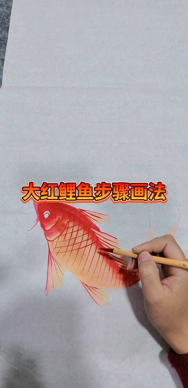 淡惠轩大鲤鱼步骤画法