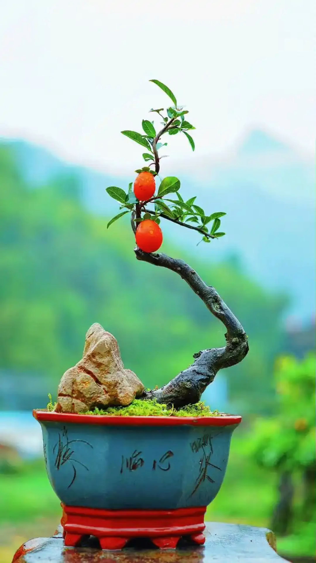 靖江山水盆景