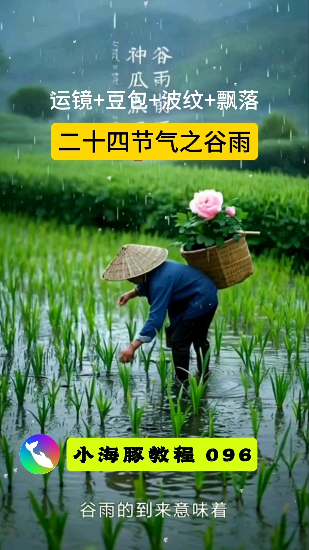 节气谷雨12生肖运势(24节气谷雨的意思)