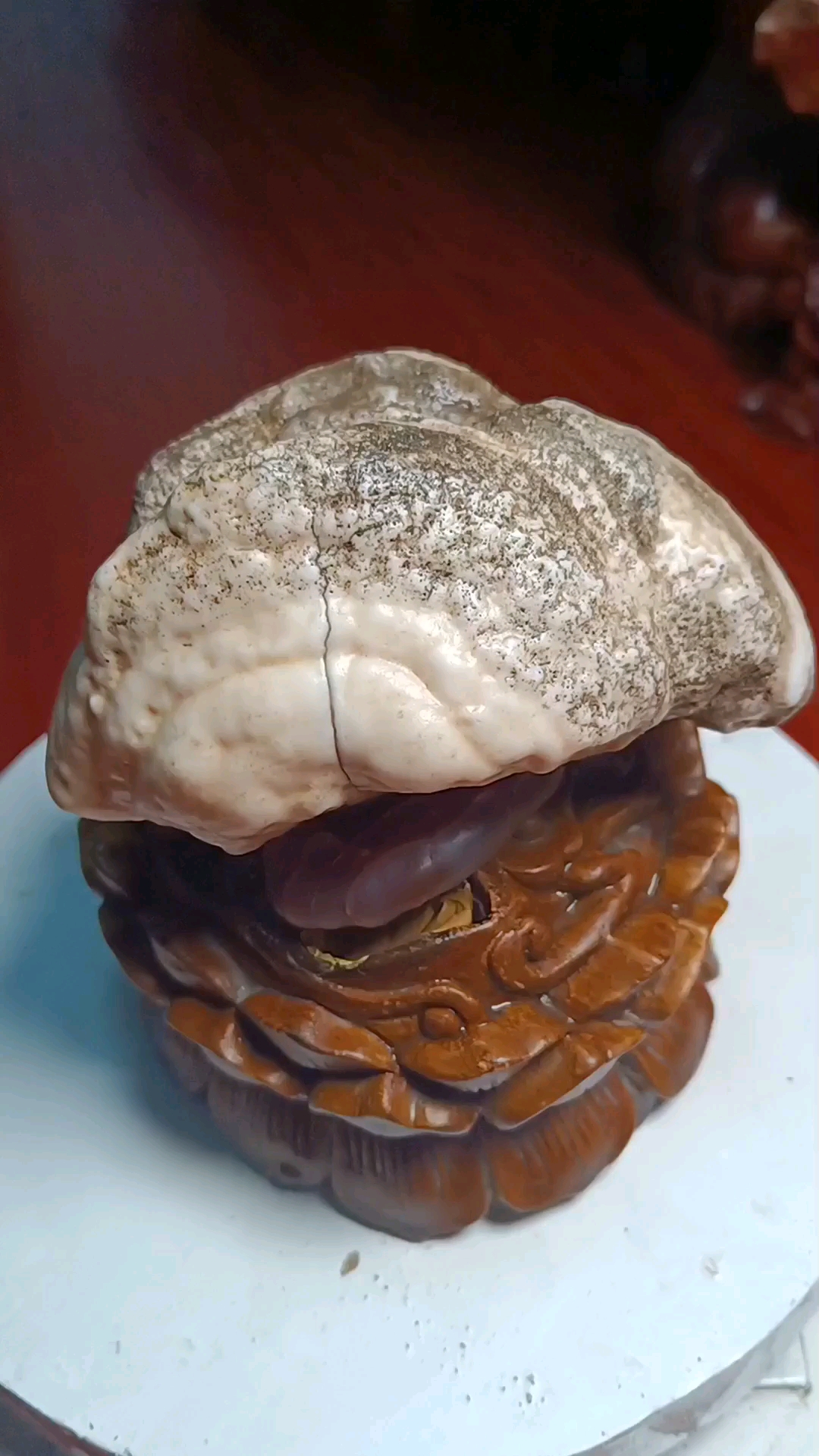 福禄寿喜,蝙蝠代表福气,鹿代表俸禄,龟代表寿长寿,喜鹊代表喜-度小视