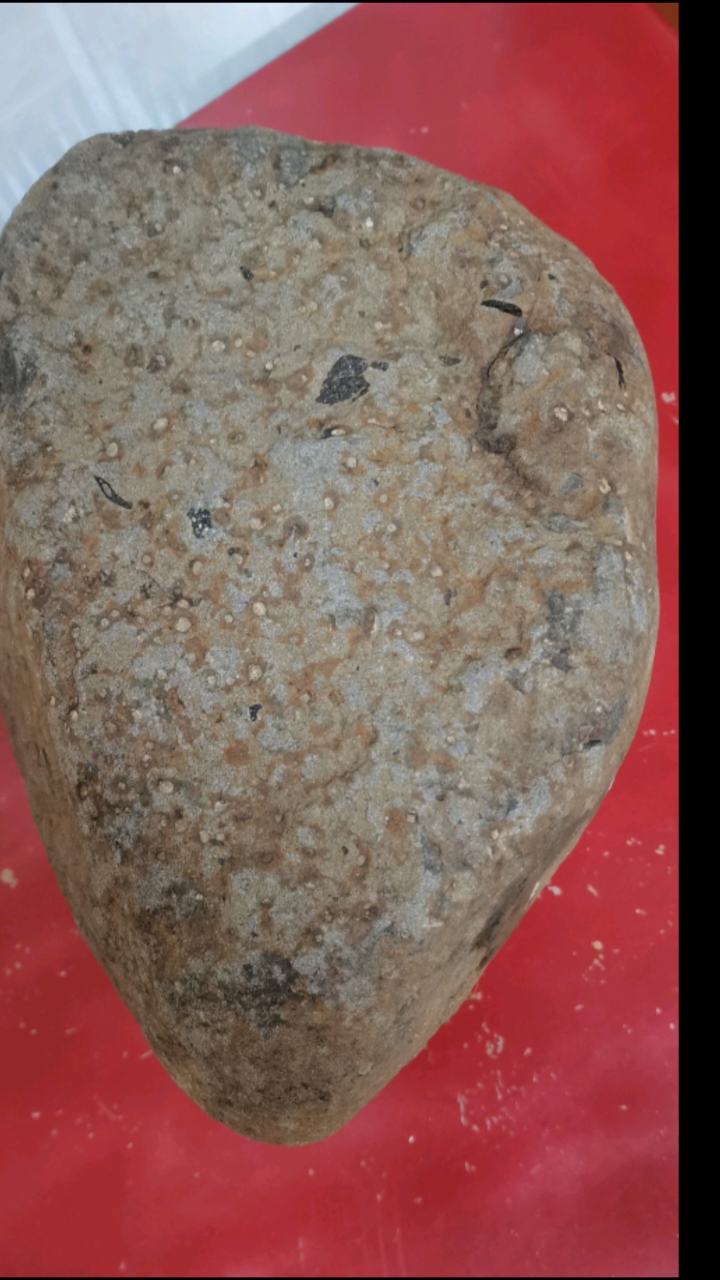 碳质球粒陨石,断面球粒明显,安徽大别山区发现!