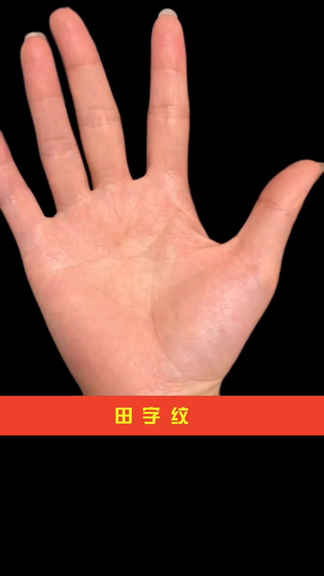 手相解析田字纹!