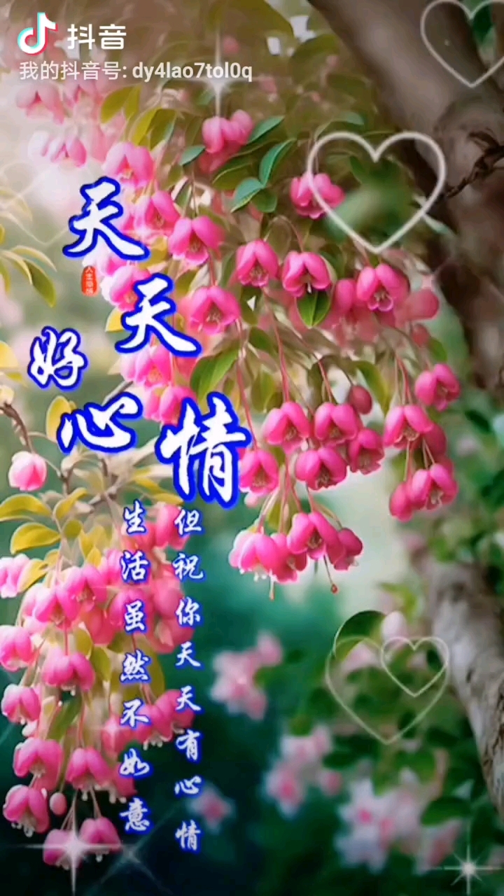 花儿朵朵美 天天好心情