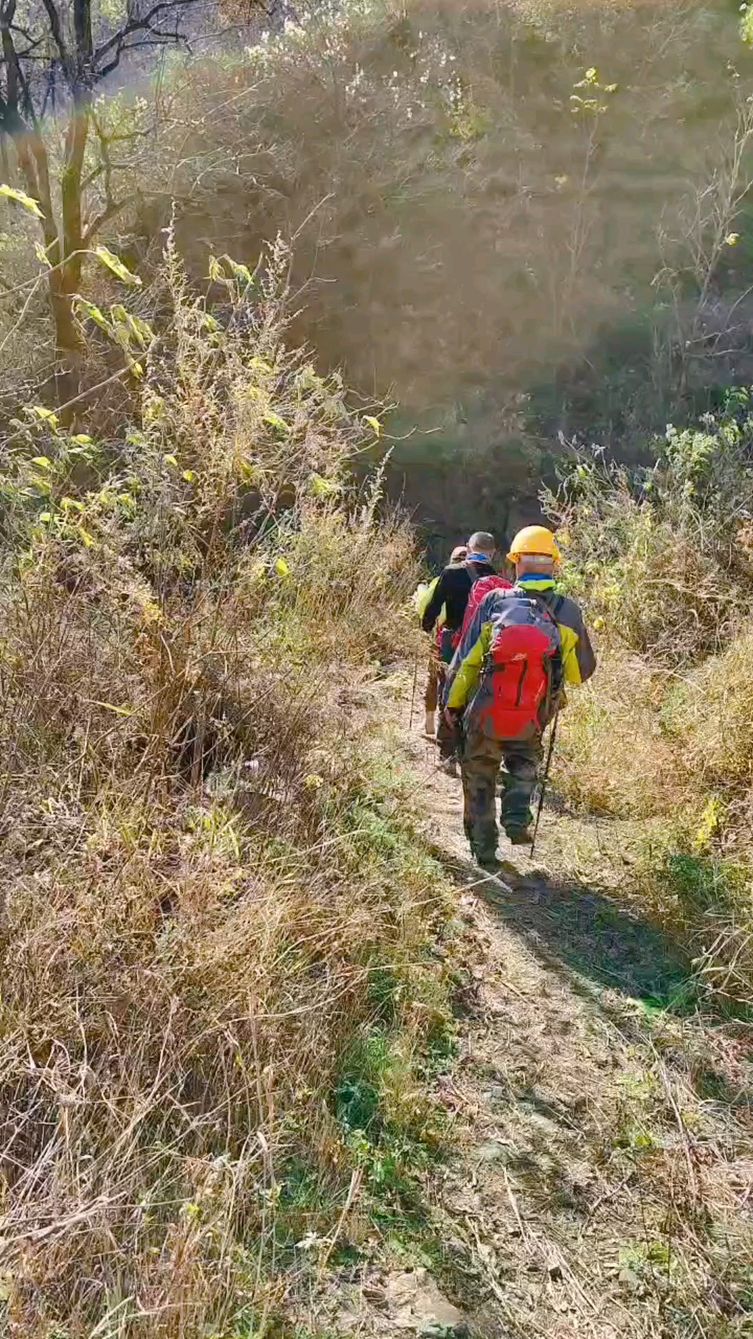 登山的目的是健體強身