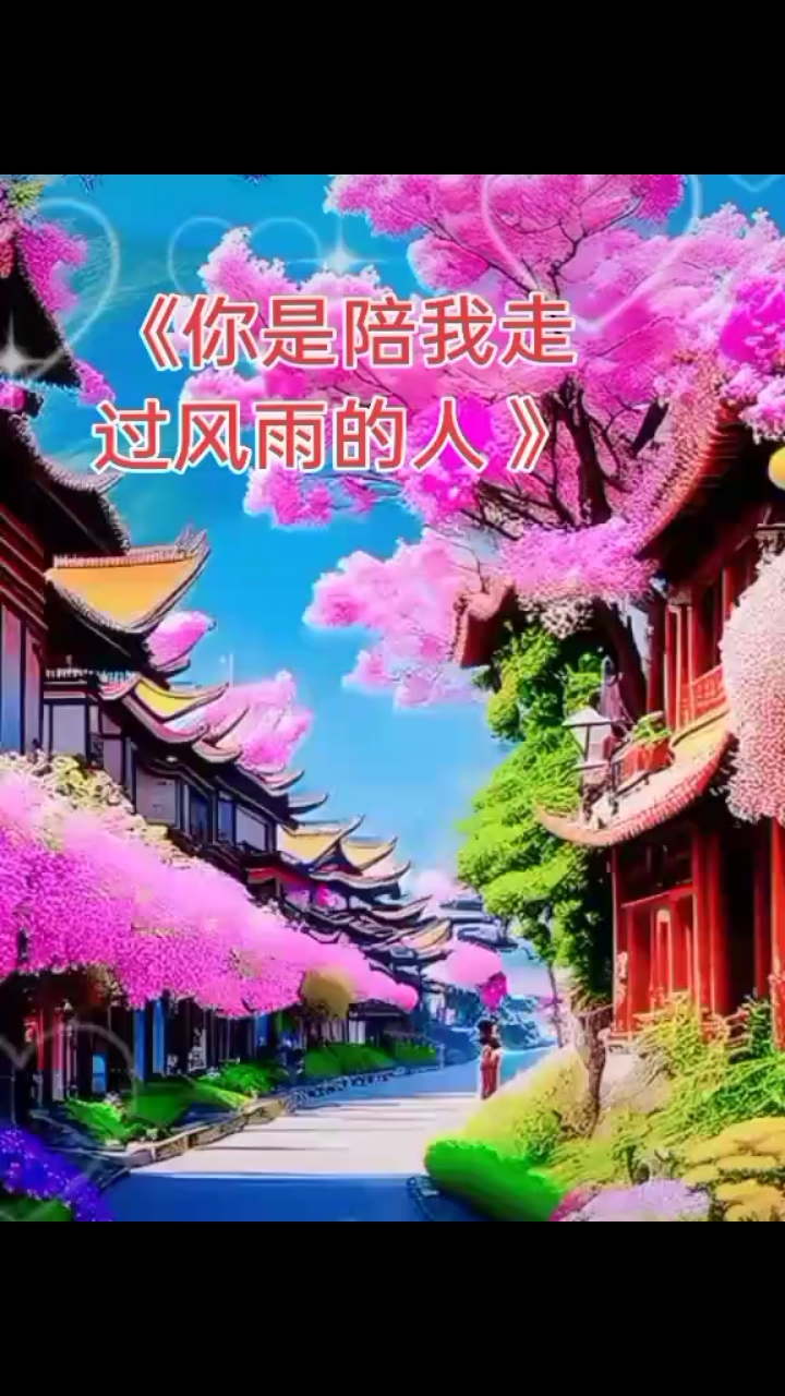 《你是陪我走过风雨的人 》