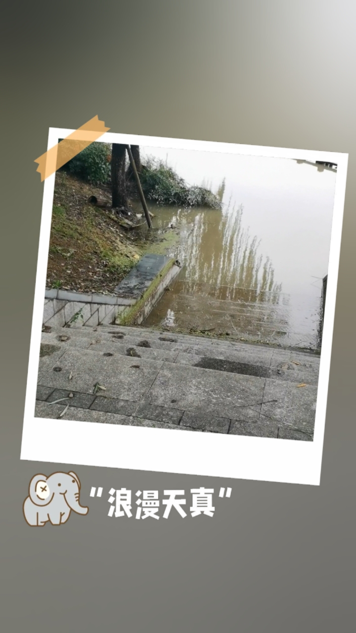 台风过后,姚江水位退了!