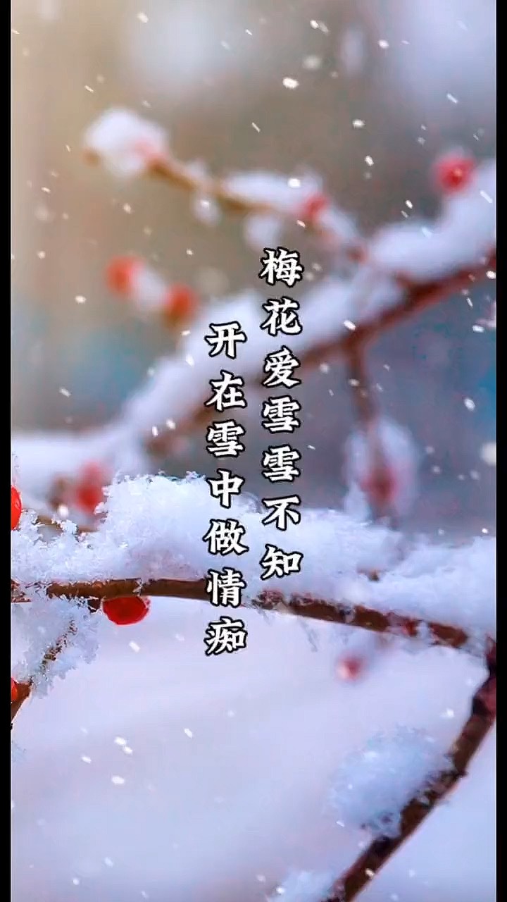 冬天飘雪的图片带字的图片