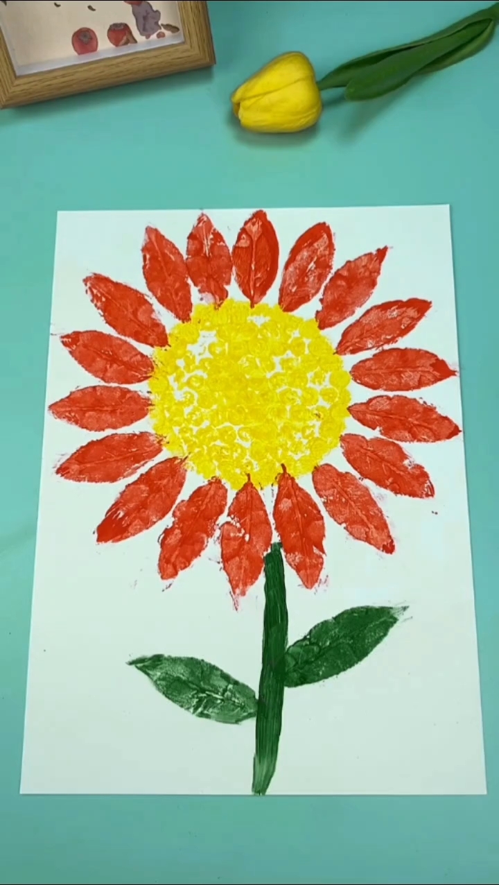太阳花教程分享来咯