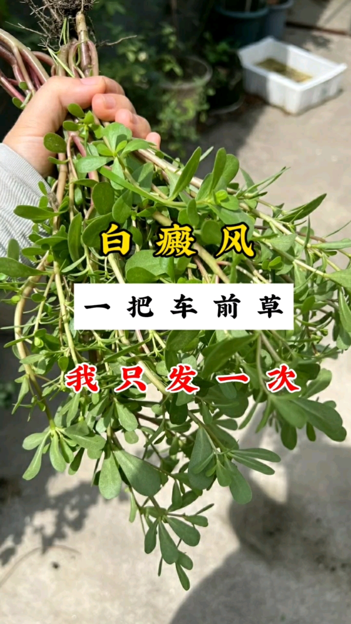 如果你有白癜风,一定要看完